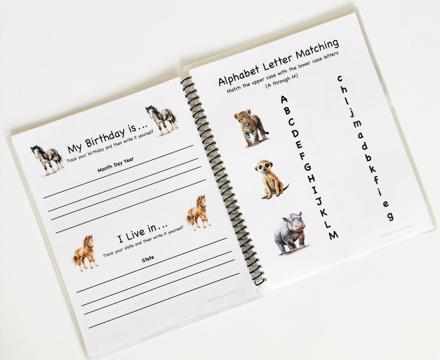 Preschool Learning Book with 27 Activity Pages| Toddler Busy Book|Toddler Workbook|Homeschool Curriculum busy books for kids