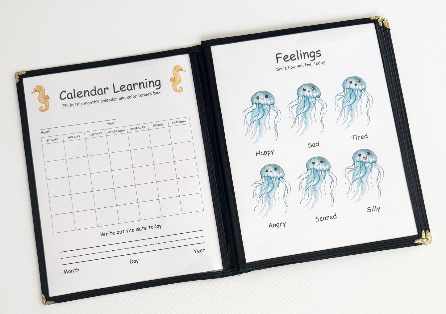 2nd Grade Morning Menu with 22 Reusable Activity Pages for Homeschool Curriculum Learning Book Educational Cardstock Pages